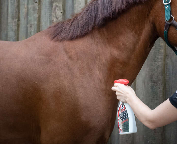 leovet Pferde-Insektenschutzspray Power Phaser